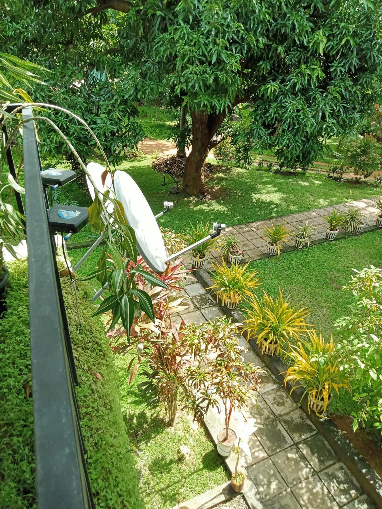Kithmi Resort Polonnaruwa Dış mekan fotoğraf