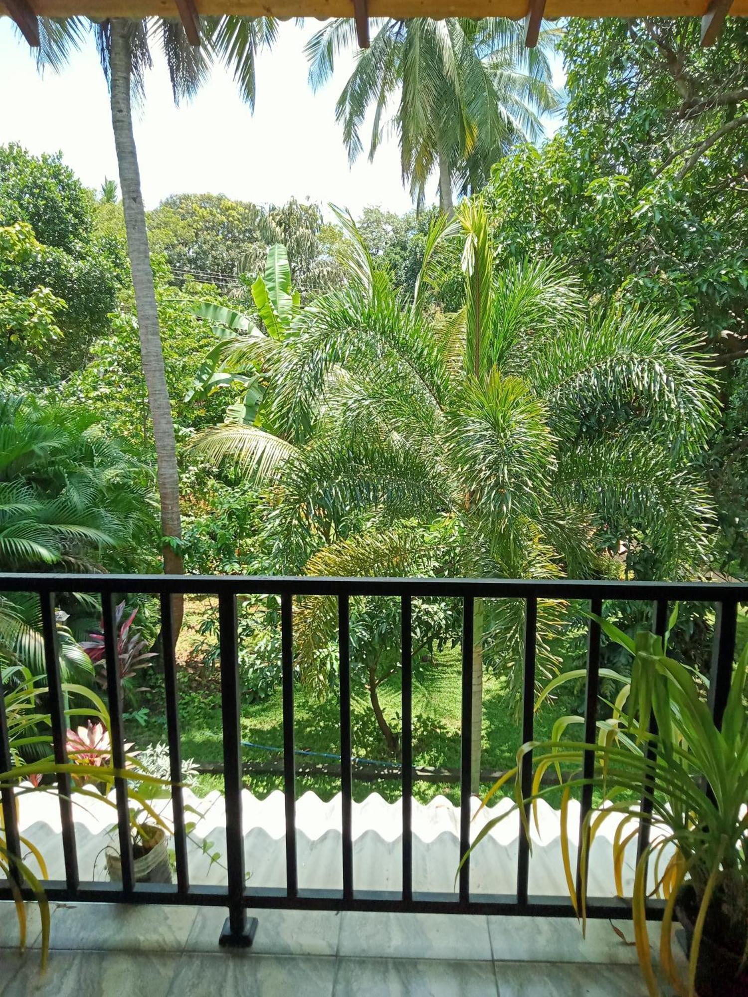 Kithmi Resort Polonnaruwa Dış mekan fotoğraf